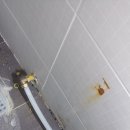 시화월드아파트 이미지