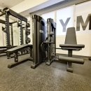 Y-GYM 이미지