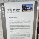 시나플라워