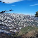 [토요산행] 강릉 능경봉-제왕산 연계산행 2025/01/18 이미지