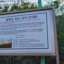 다잇소마트 이미지