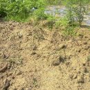 약수농장 이미지