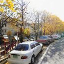 안곡로 22 이미지