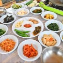 초원생오리 이미지