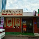 라떼는말이야 - 강릉시 강릉대로547번길 6 | 오남 빵집 초코소라빵 식빵 바게트, 라떼는 말이야