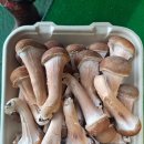 성산농장 이미지