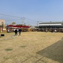 애견세상 이미지