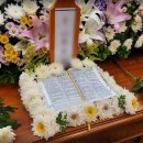 엠마오사랑병원 이미지