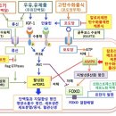 단백질은 회복력과 치유력의 근원 이미지