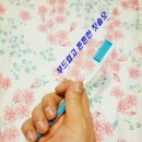 송송기프트