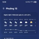 넘버원베트남마트
