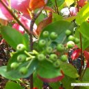 미수농장 이미지