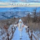 강원특별자치도 정선군청 대회의실 | [겨울 설산 등산] 함백산 일출 산행 30분만에 최단코스 (주차, cctv, 시간)