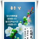용수식당 네이버블로그
