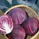 최고로마트 이미지