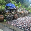 경복대로54 이미지