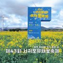 황소모양의 배(Bu | 제43회 서귀포유채꽃축제 | 황소바람 뚫고 다녀온 노란 물결 가시리 방문기! (주차/체험 꿀팁)