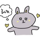 로스트 템플2 네이버블로그