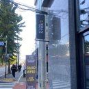 URBAN TREE 39 이미지