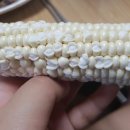 전자담배백화점 - 파주시 와동동 | 전자담배백화점