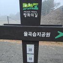 [선별편] 2025년1월22일 토요일 DMZ평화의길 6. 7.코스를 다녀와서! 이미지