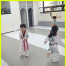 큰솔 태권도 이미지