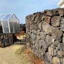 협재의바람 이미지