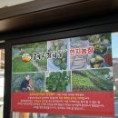 콩마루 감자탕 본점 이미지