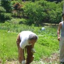 인서농장 이미지