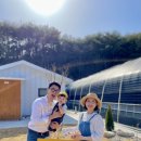 화수리농장 이미지