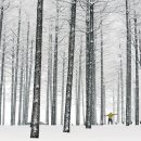 인동농업협동조합주유소 이미지