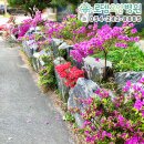 돌담요양병원 이미지