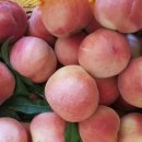 광준농장 이미지