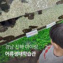 어류 | 경남 진해해양공원 어류생태학습관 아이와 함께 다녀온 후기