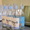 이도통닭 | [숙소] 제주 조천숙소 스테이렌토 B동 후기(3인 숙박) + 이도통닭