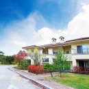 대영환경 이미지