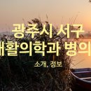 서울상무정형외과의원 이미지