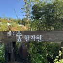 제주숲한의원 이미지