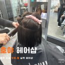 호야헤어샵