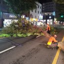 남원읍-111 이미지