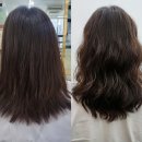 본헤어샵 네이버블로그
