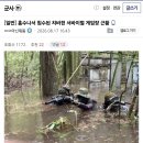홍수나서 침수된 치바현 서바이벌 게임장 근황 이미지