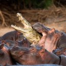 안하마을 이미지