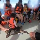 거북헬스 이미지