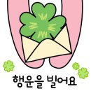 오아시스 공인중개사사무소 이미지