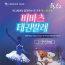 LED비바츠 태권발레 이미지