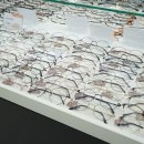 으뜸50 마산양덕점 이미지