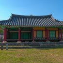 석성동헌 탱자나무 | 석성동헌 탱자나무