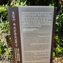 제주 사라봉 일제동굴진지 이미지