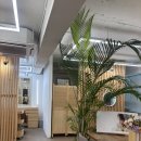 메이크시 | 강남 메이크업샵 [메이크 와이즈] 메이크업 받은 솔직후기 (장단점)